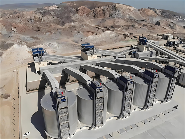 岱岳水泥钢板仓