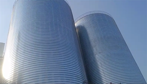 岱岳2座混凝土高架卷板仓